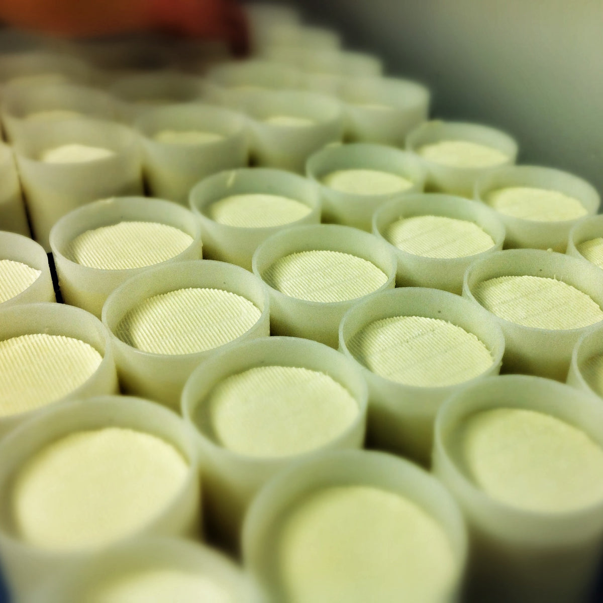 What is in Cheese? A Comprehensive Guide & Rind