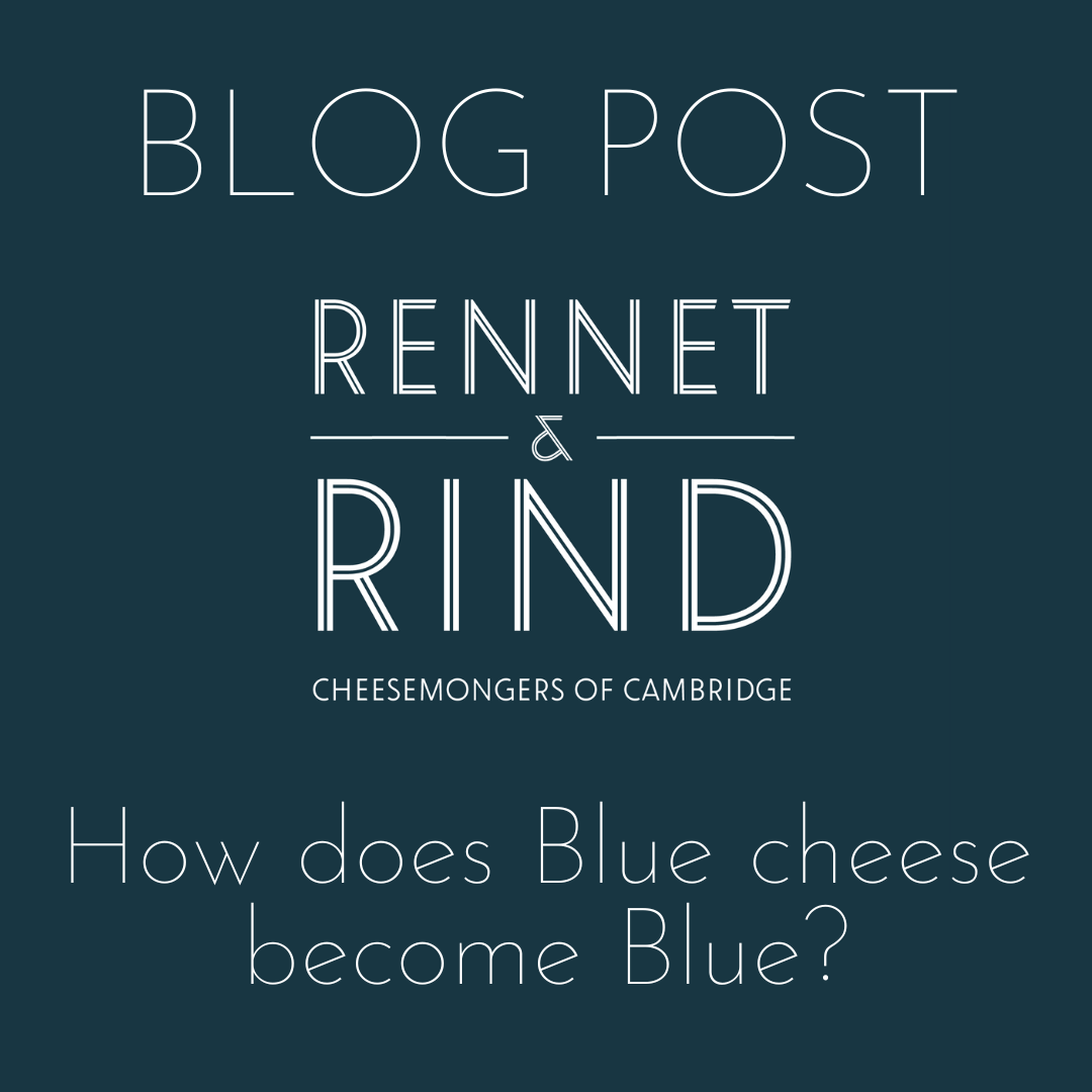 How Does Blue Cheese Blue? & Rind