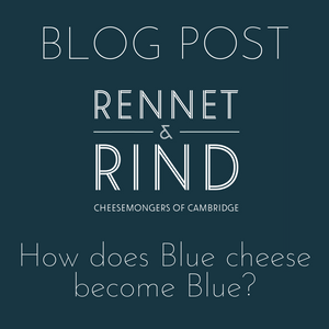 How Does Blue Cheese Become Blue?