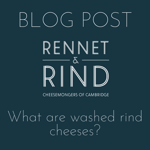 What are Washed Rind Cheeses?