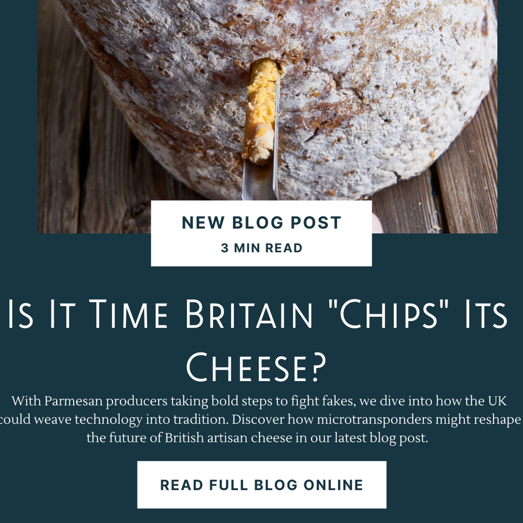 Is It Time Britain "Chips" Its Cheese?