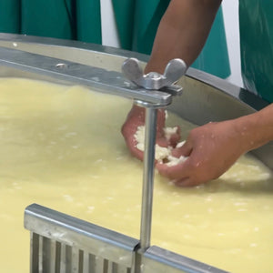 A Visit to Village Maid Cheese - Makers of Spenwood, Wigmore and Heckfield
