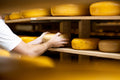 Selecting the Best Wholesale Cheeses for Your Business