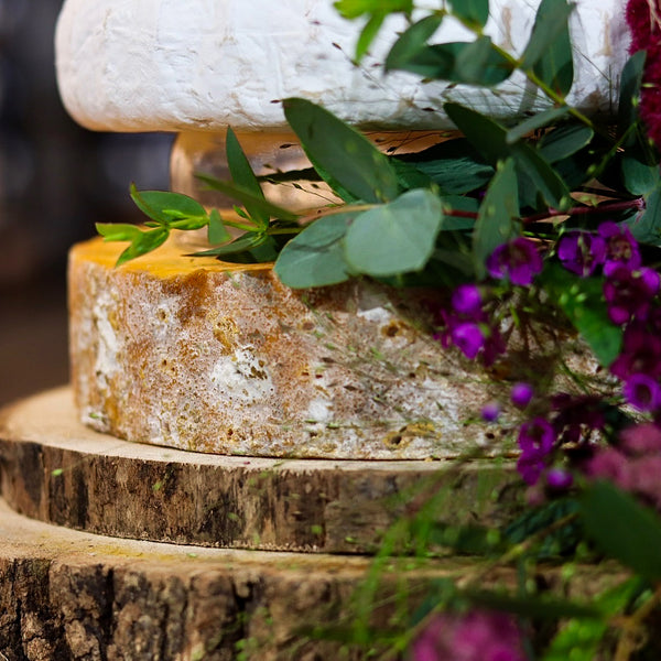 Attenborough Cheese Tower