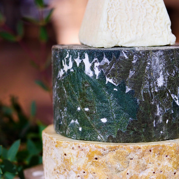 Scholar Cheese Tower