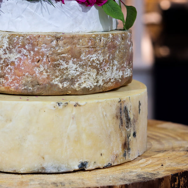 Darwin Cheese Tower