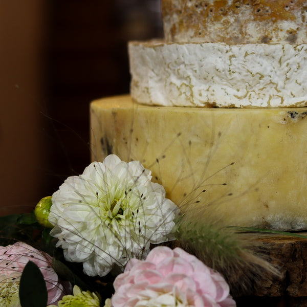 Newton Cheese Tower