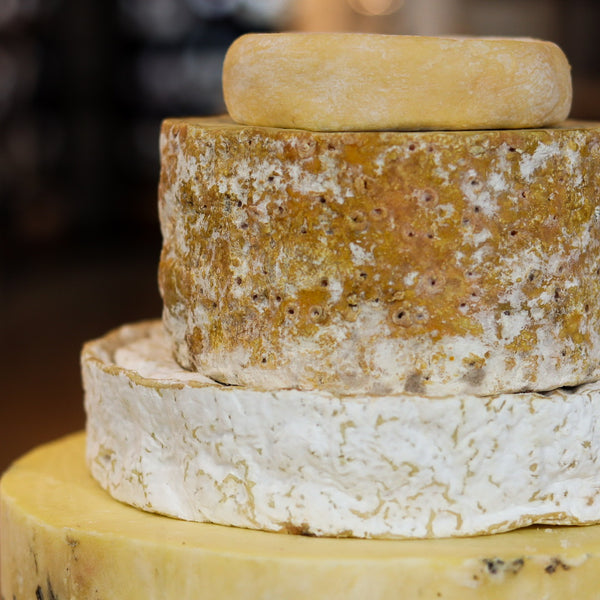 Newton Cheese Tower