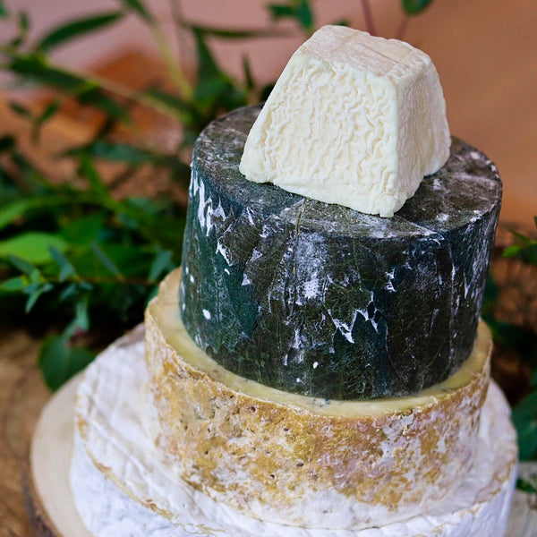 Scholar Cheese Tower
