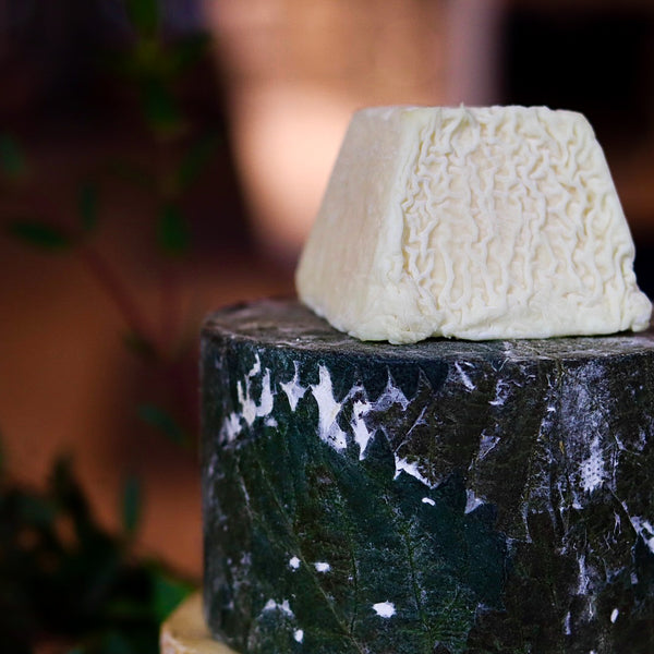 Scholar Cheese Tower