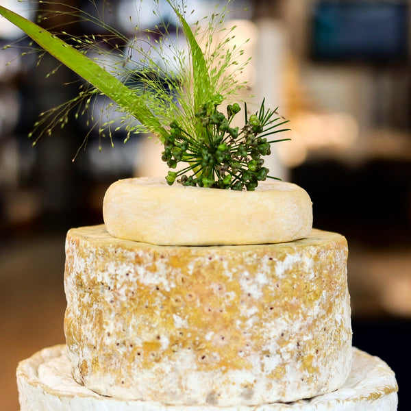 Newton Cheese Tower