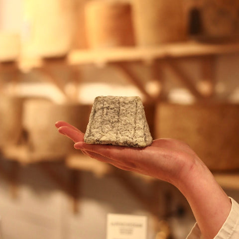 British Artisan sheeps milk cheese Pave Cobble being held by cheesemonger at Rennet & Rind
