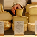 British Artisan Sheep's Cheese Rustler on display on cheese counter at Rennet & Rind