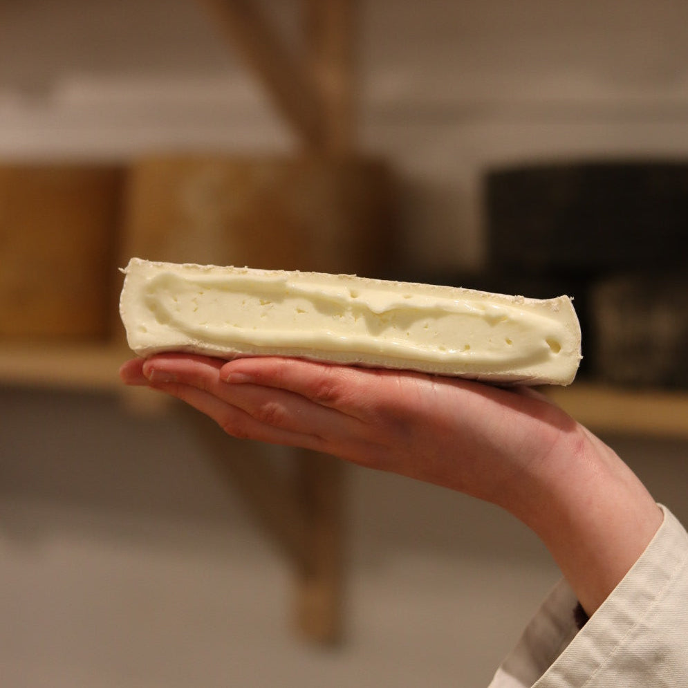 Rennet & Rind cheesemonger holding wigmore, a sheeps milk British artisan cheese