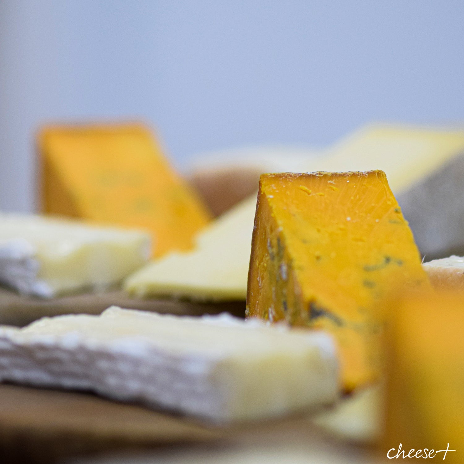 Academy of Cheese Certification Course - Rennet & Rind British Artisan Cheese