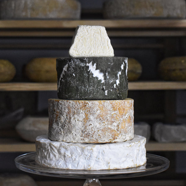 Scholar Cheese Tower - Rennet & Rind British Artisan Cheese
