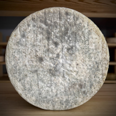 Young (Fresco) Yorkshire Pecorino - Rennet & Rind British Artisan Cheese