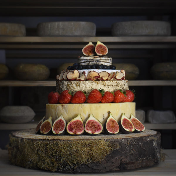 Darwin Cheese Tower - Rennet & Rind British Artisan Cheese