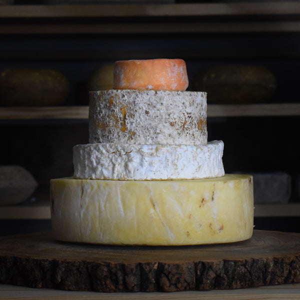Newton Cheese Tower - Rennet & Rind British Artisan Cheese