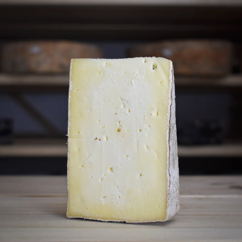 Duckett's Aged Caerphilly - Rennet & Rind British Artisan Cheese