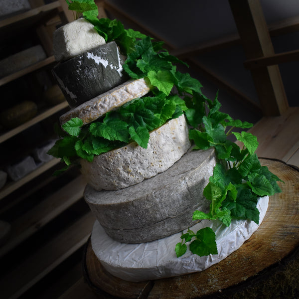 Grantchester Cheese Tower - Rennet & Rind British Artisan Cheese